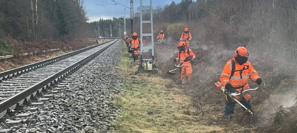 Bahndamm freischneiden
